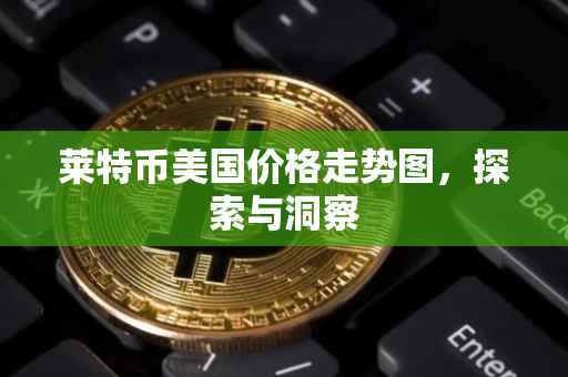 莱特币美国价格走势图，探索与洞察