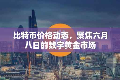 比特币价格动态，聚焦六月八日的数字黄金市场