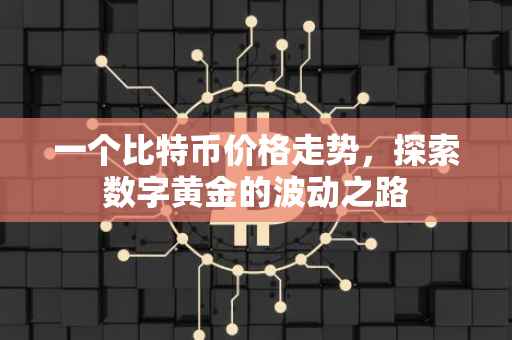 一个比特币价格走势，探索数字黄金的波动之路