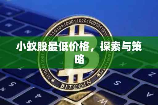 小蚁股最低价格，探索与策略