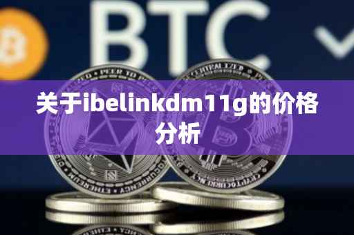 关于ibelinkdm11g的价格分析