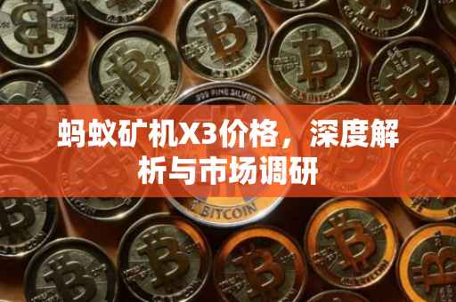 蚂蚁矿机X3价格，深度解析与市场调研