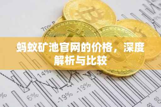 蚂蚁矿池官网的价格，深度解析与比较