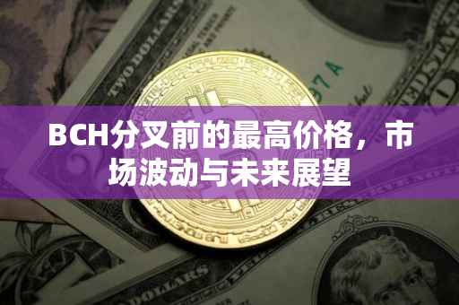 BCH分叉前的最高价格，市场波动与未来展望
