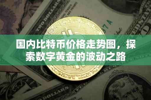 国内比特币价格走势图，探索数字黄金的波动之路