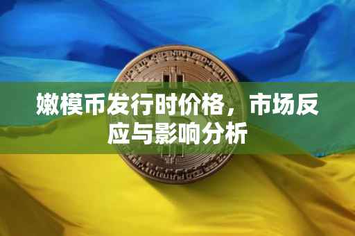 嫩模币发行时价格，市场反应与影响分析