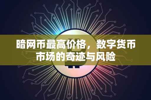 暗网币最高价格，数字货币市场的奇迹与风险
