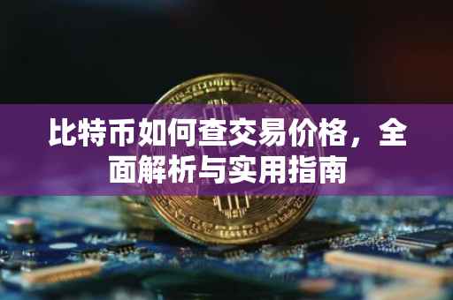 比特币如何查交易价格，全面解析与实用指南