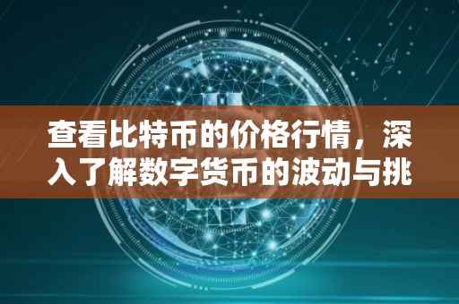 查看比特币的价格行情，深入了解数字货币的波动与挑战