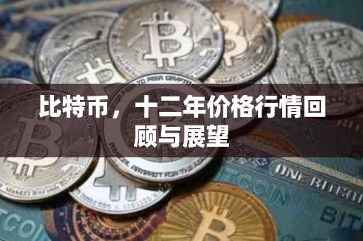 比特币，十二年价格行情回顾与展望
