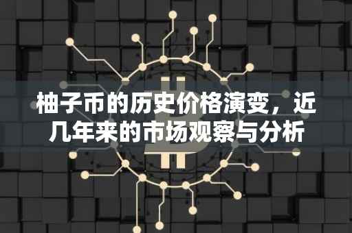 柚子币的历史价格演变，近几年来的市场观察与分析