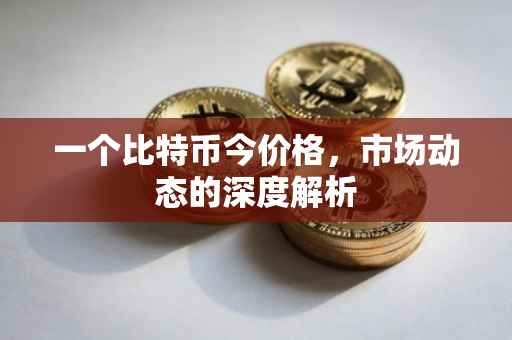 一个比特币今价格，市场动态的深度解析