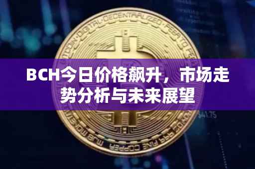 BCH今日价格飙升，市场走势分析与未来展望