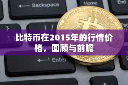 比特币在2015年的行情价格，回顾与前瞻