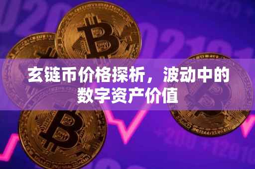 玄链币价格探析，波动中的数字资产价值
