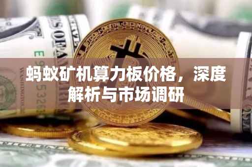 蚂蚁矿机算力板价格，深度解析与市场调研