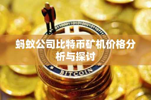 蚂蚁公司比特币矿机价格分析与探讨