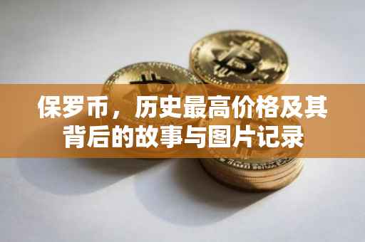 保罗币，历史最高价格及其背后的故事与图片记录