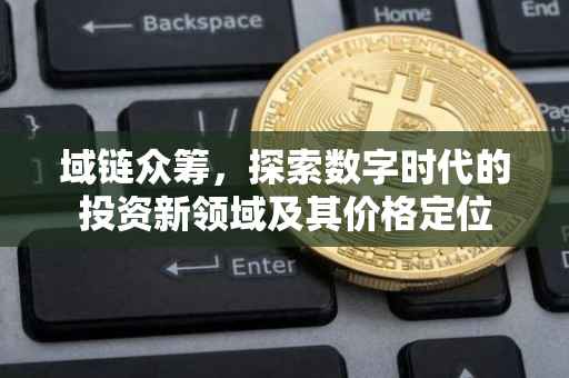 域链众筹，探索数字时代的投资新领域及其价格定位