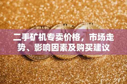 二手矿机专卖价格，市场走势、影响因素及购买建议
