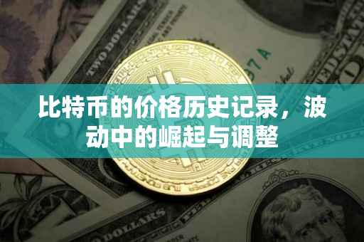 比特币的价格历史记录，波动中的崛起与调整