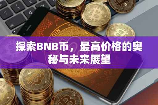 探索BNB币，最高价格的奥秘与未来展望