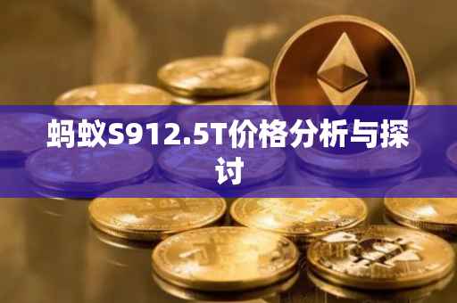 蚂蚁S912.5T价格分析与探讨
