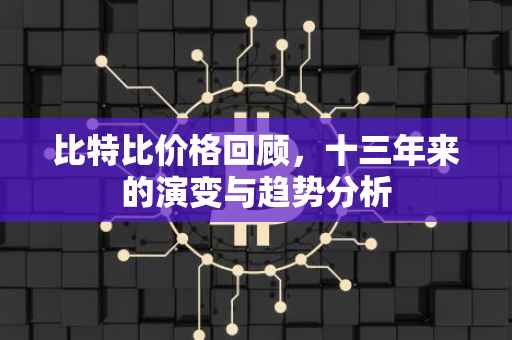 比特比价格回顾，十三年来的演变与趋势分析