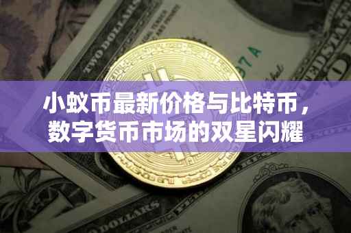 小蚁币最新价格与比特币，数字货币市场的双星闪耀
