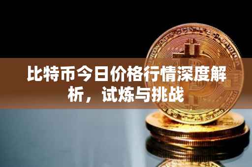比特币今日价格行情深度解析，试炼与挑战