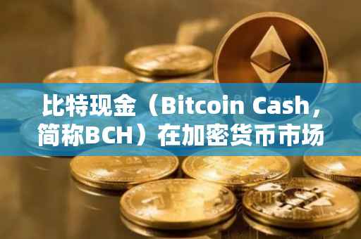 比特现金（Bitcoin Cash，简称BCH）在加密货币市场的价格走势研究，从2019年的视角看未来