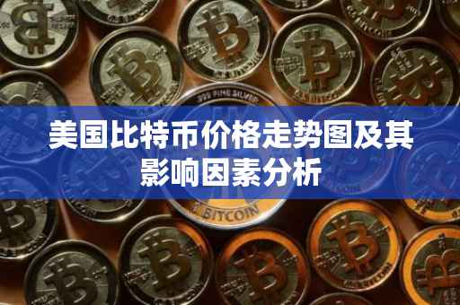 美国比特币价格走势图及其影响因素分析