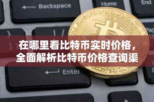 在哪里看比特币实时价格，全面解析比特币价格查询渠道