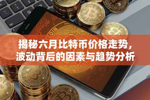 揭秘六月比特币价格走势，波动背后的因素与趋势分析