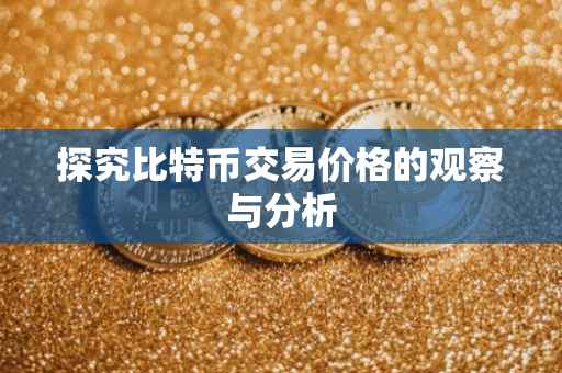 探究比特币交易价格的观察与分析