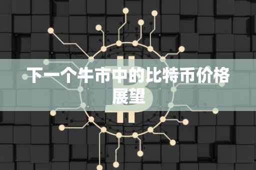 下一个牛市中的比特币价格展望