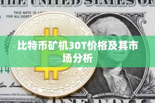 比特币矿机30T价格及其市场分析