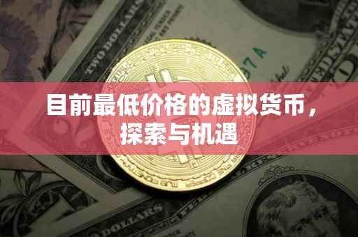 目前最低价格的虚拟货币，探索与机遇