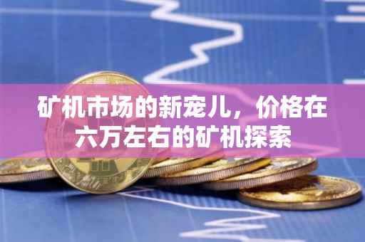 矿机市场的新宠儿，价格在六万左右的矿机探索