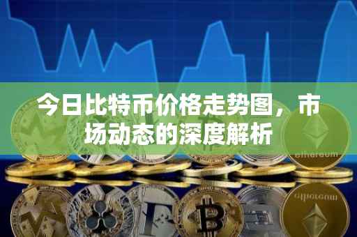 今日比特币价格走势图，市场动态的深度解析