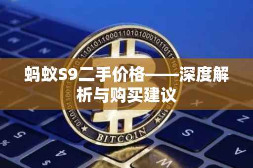 蚂蚁S9二手价格——深度解析与购买建议