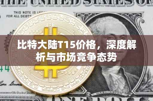 比特大陆T15价格，深度解析与市场竞争态势