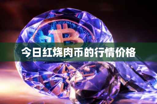 今日红烧肉币的行情价格