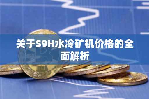 关于S9H水冷矿机价格的全面解析