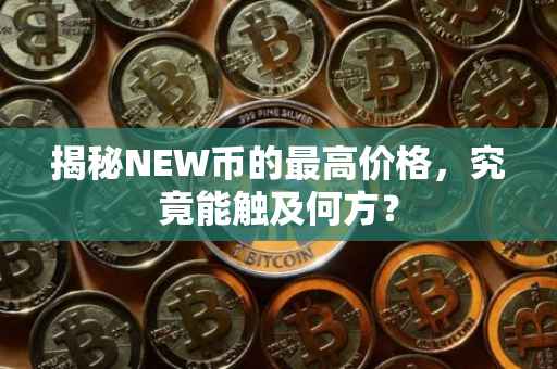 揭秘NEW币的最高价格，究竟能触及何方？