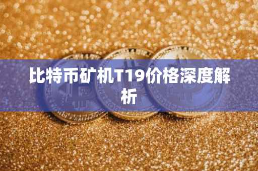 比特币矿机T19价格深度解析