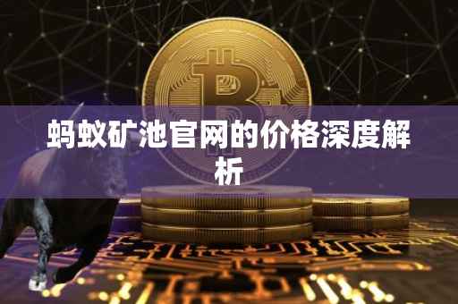 蚂蚁矿池官网的价格深度解析