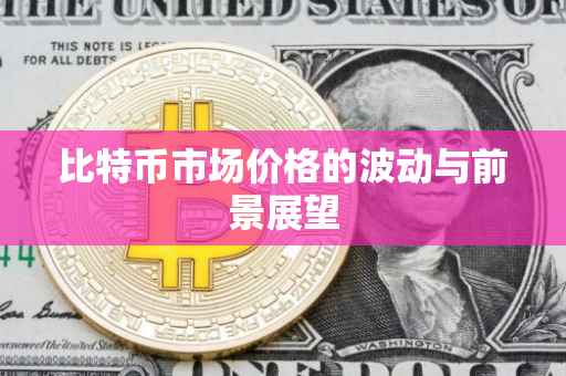 比特币市场价格的波动与前景展望