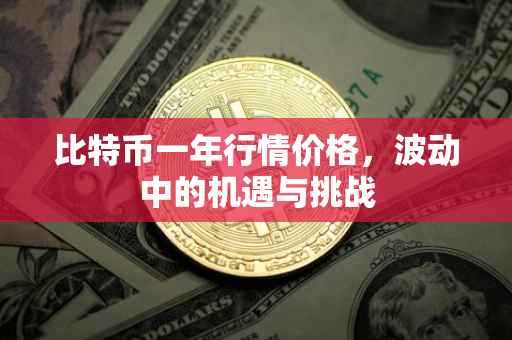 比特币一年行情价格，波动中的机遇与挑战