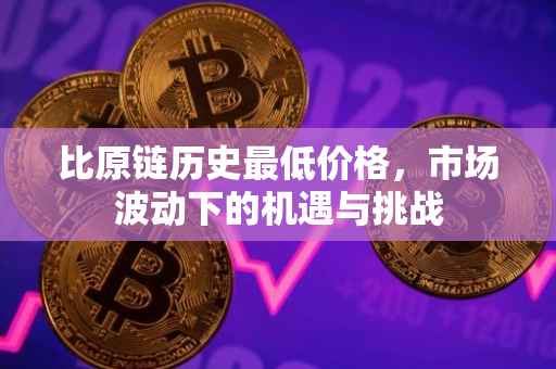 比原链历史最低价格，市场波动下的机遇与挑战